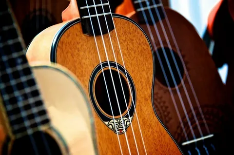Electric and Acoustic Guitar Strings Market Growth Accelerated by Increasing Demand of Acoustic and Electric Guitars