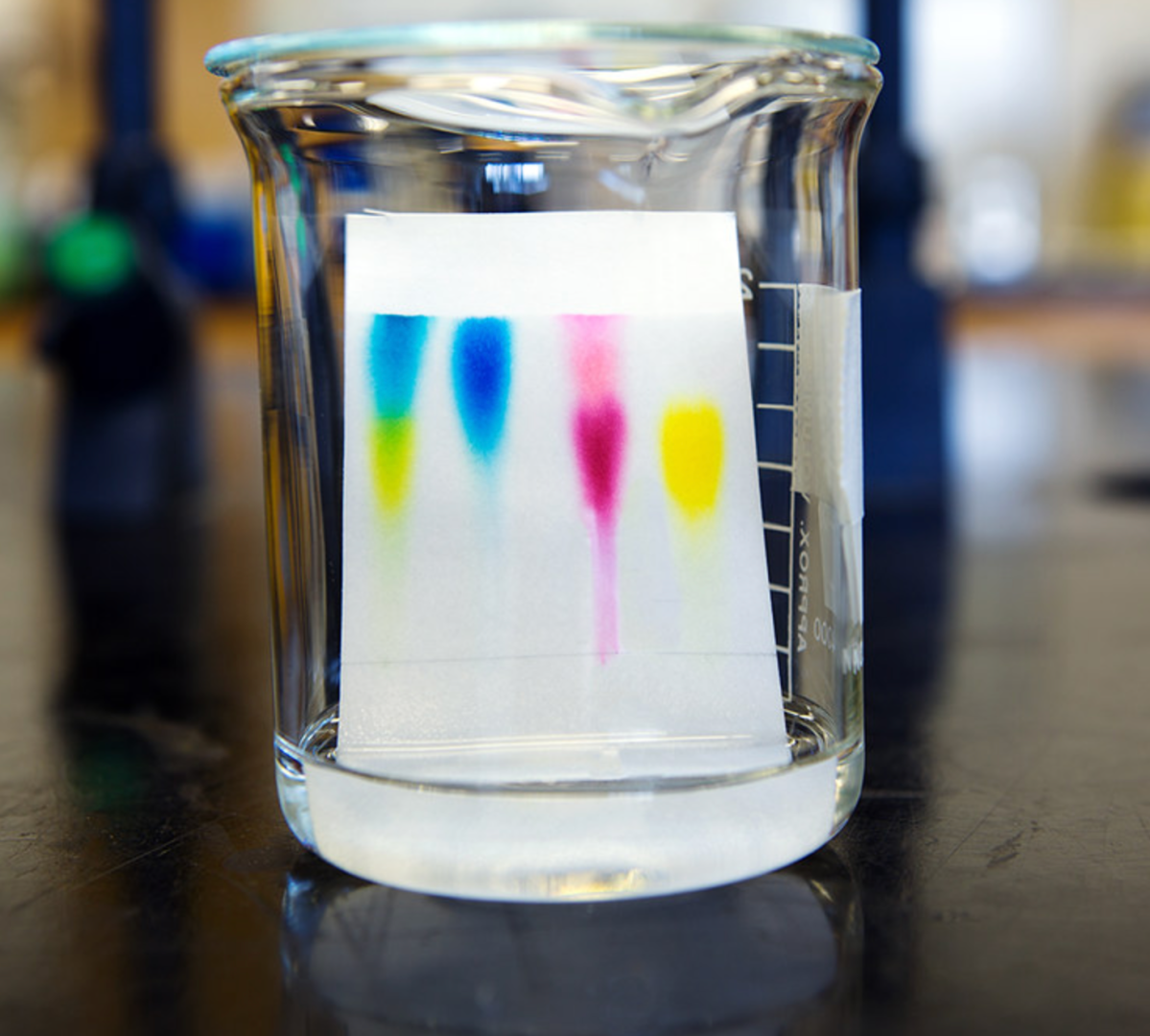 Chromatography Is Estimated To Witness High Growth Owing To Growing Research And Development In Life Sciences