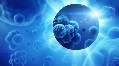 Oncology Information Systems Market Growth Accelerated by Increased Adoption of IT Platforms in Cancer Care