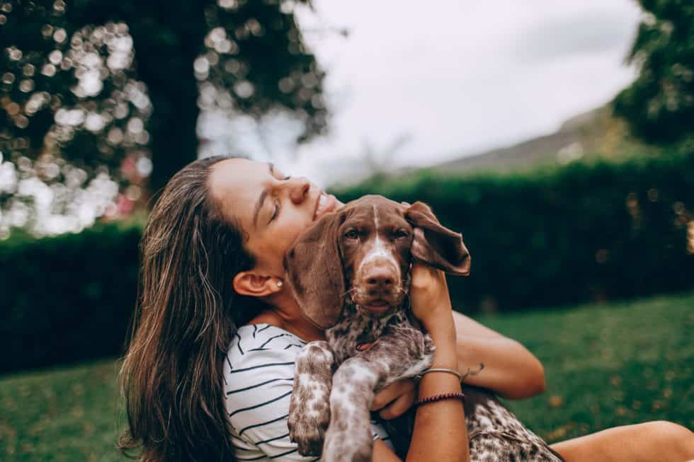 Why Expert Dog Training in Charlotte NC is Vital for every single Dog Owner