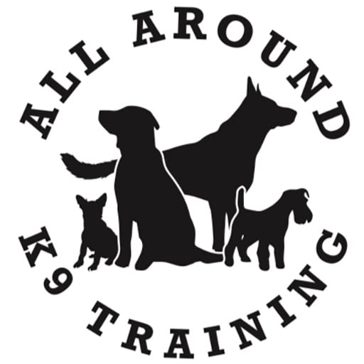 Expert Canine Coaching in San Antonio: Comprehensive Training at All Around K9