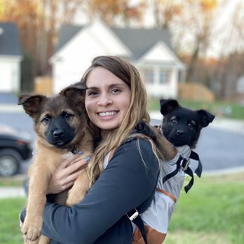 Expert Dog Training Solutions at Ridgeside K9 Tampa.