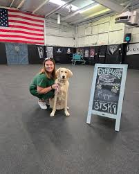 From Basics to Brilliance: How BTS K9 Dog Training Elevates Canine Behavior
