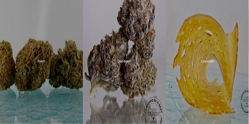 Where to buy CBD Edibles online and enjoy yourself