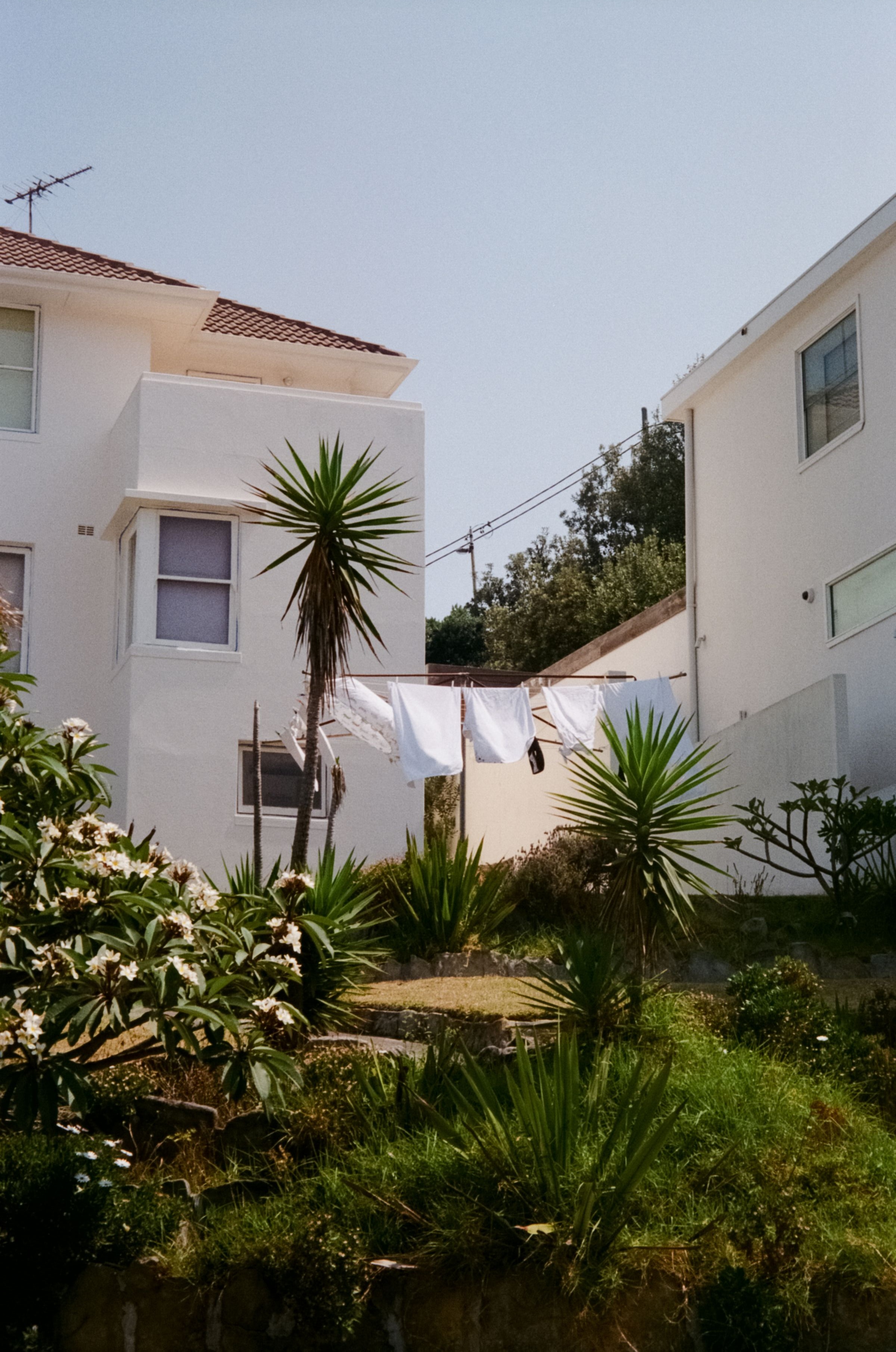 Maximize Curb Appeal: Transform Your Yard with Professional Clean-Up Companies