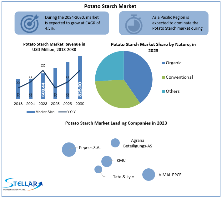 Potato Starch Market Growth, Business Strategy And  Top Manufactures