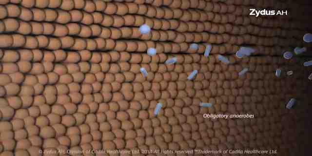 Zydus AH - 2D & 3D Animation Video