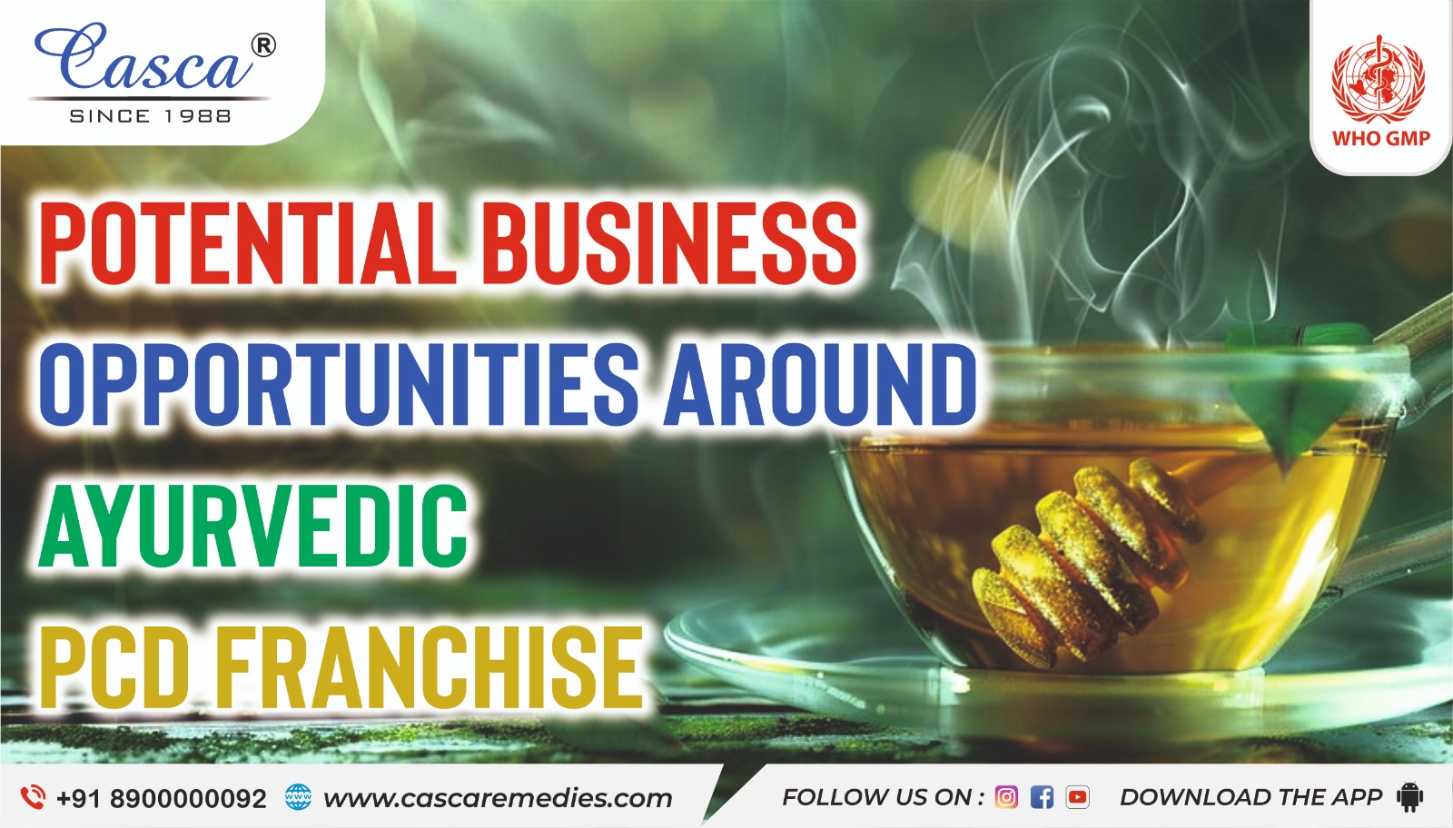 Potential Business Opportunities Around the Ayurvedic PCD franchise