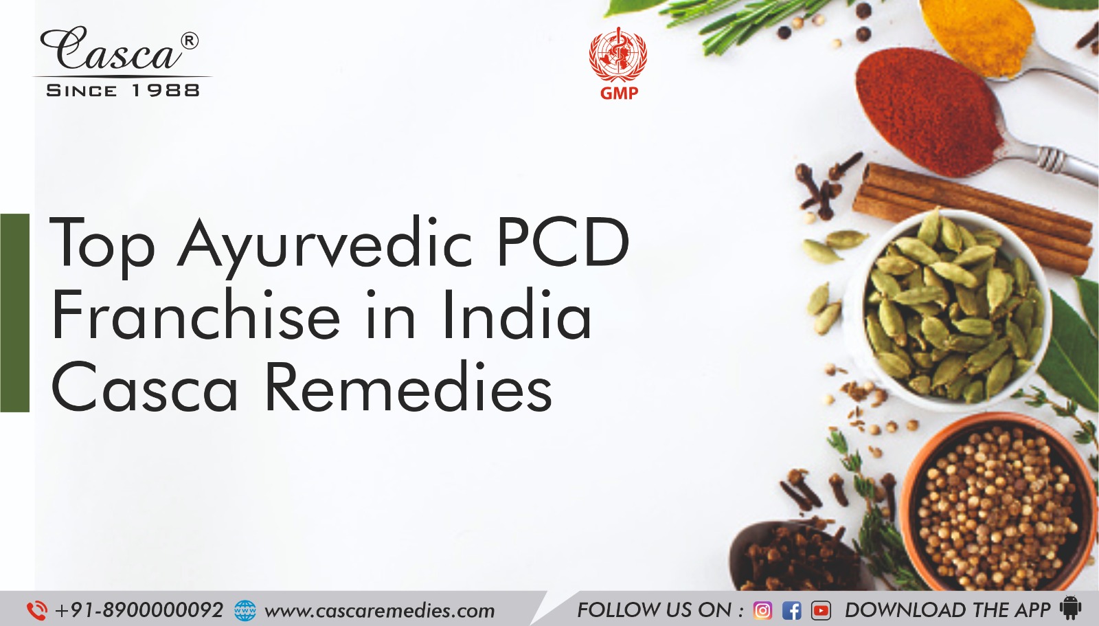 Top Ayurvedic PCD Franchise In India: Casca Remedies