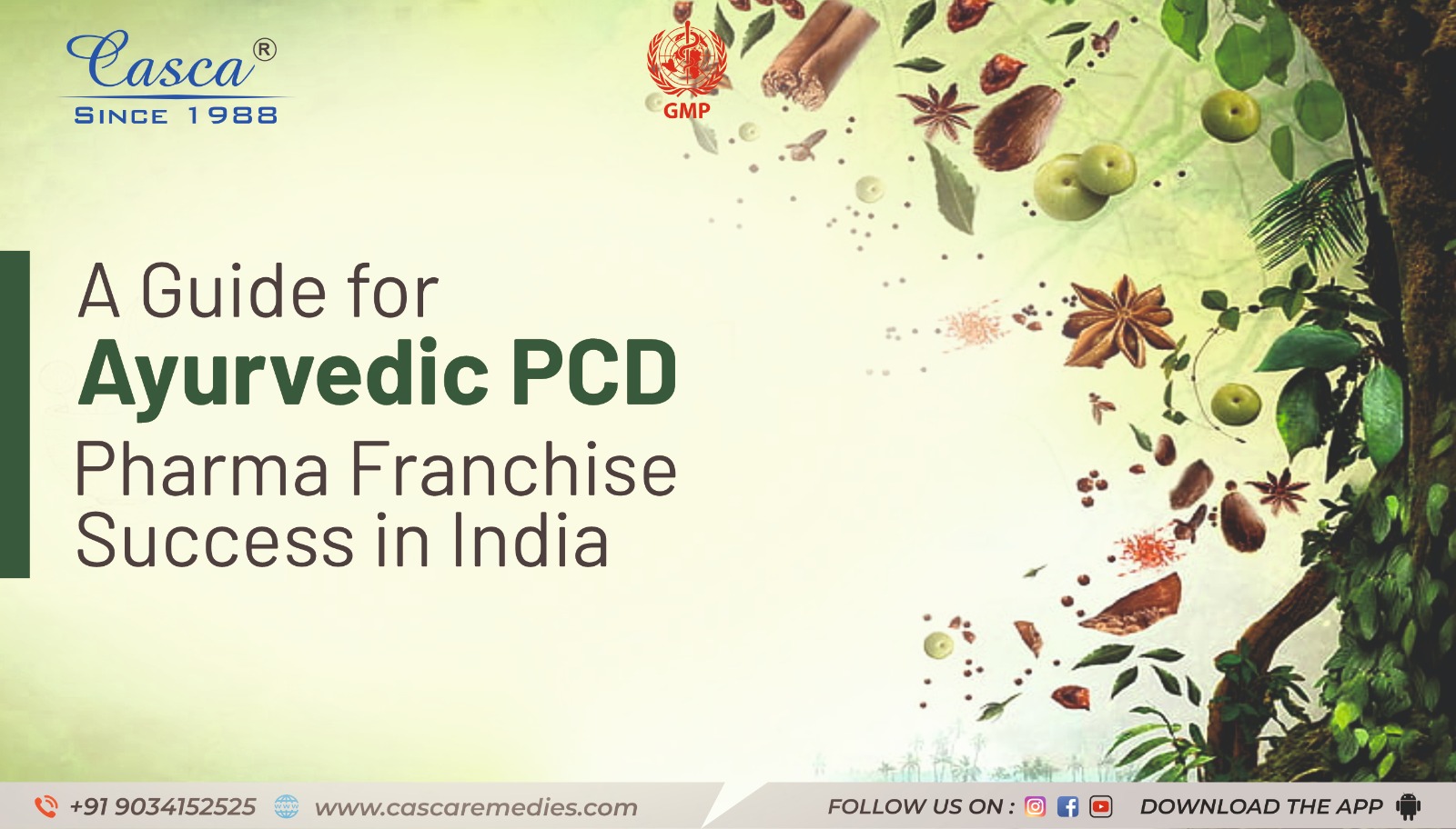 A Guide for Ayurvedic PCD Pharma Franchise Success in India