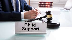 Secure your financial well-being and your child's future with expert legal support.