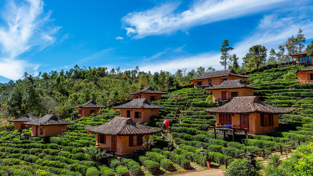 Kerala House Homestay: A Blend of Tradition and Peace
