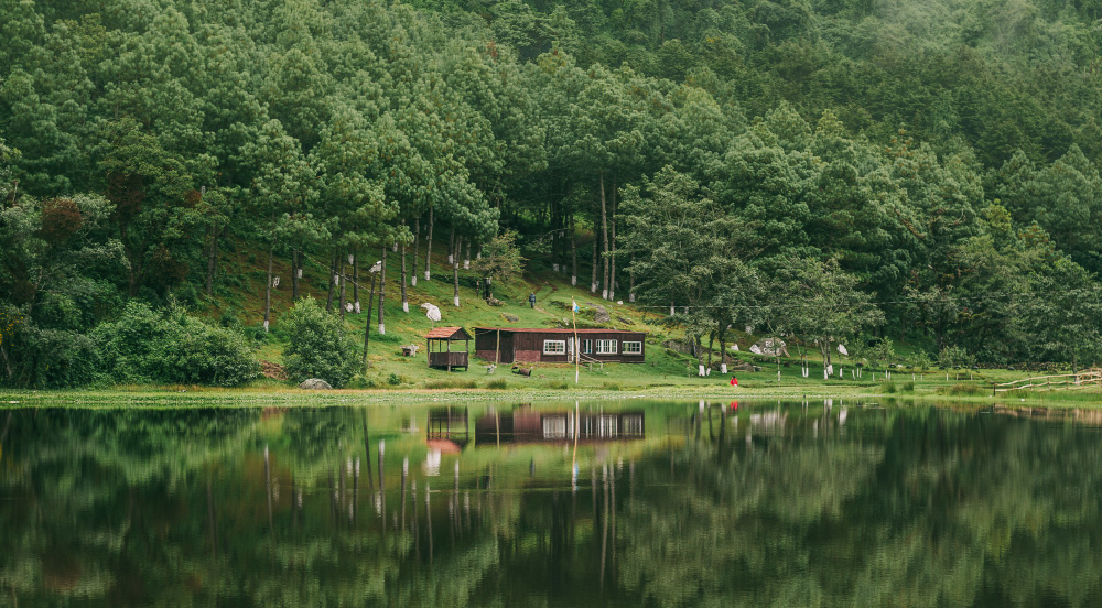 Discovering Tranquility: The Best Homestays in Wayanad