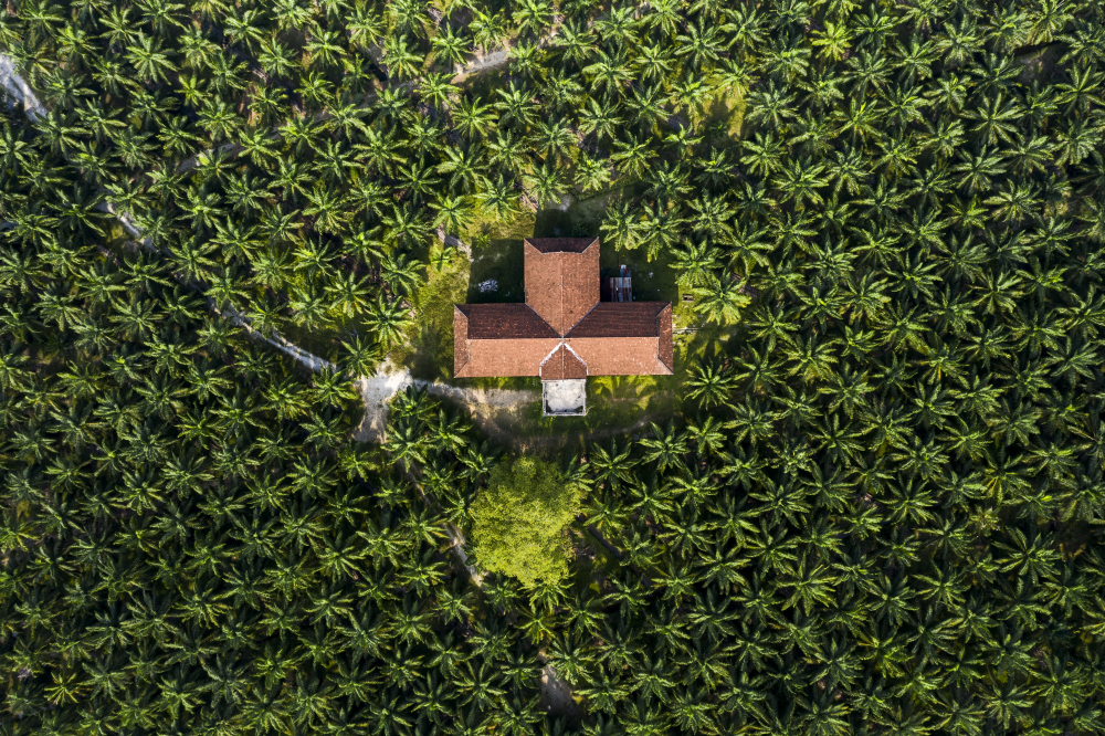 Tips for Planning a Memorable Homestay Experience in Wayanad, Kerala