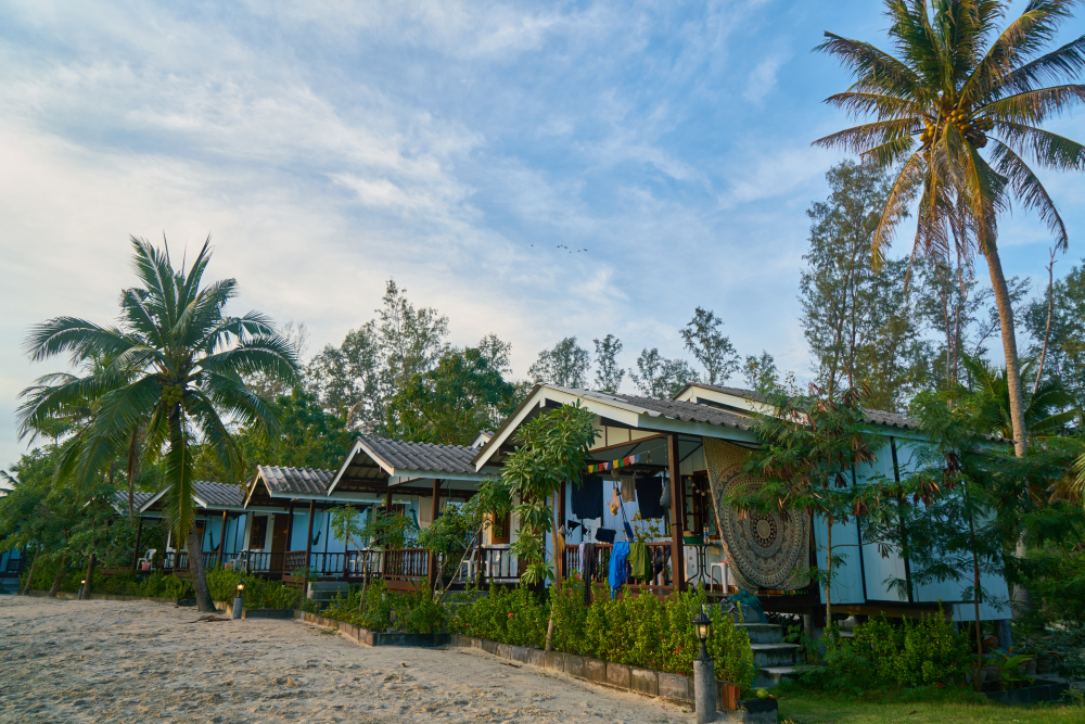  Kerala's Tranquil Retreats: Unveiling the Best Homestays for an Authentic Experience