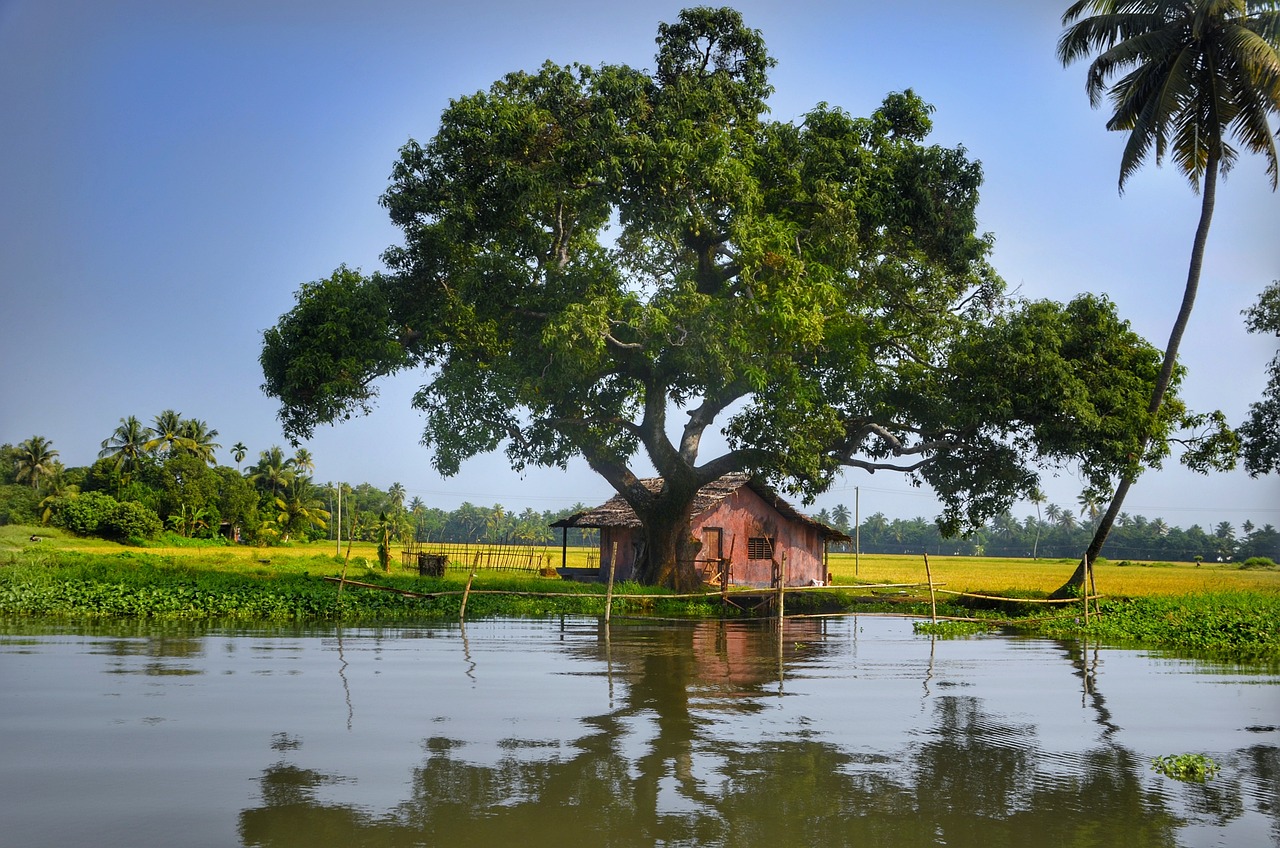 Beyond the Tourist Trail: Exploring a Destination Through Homestays