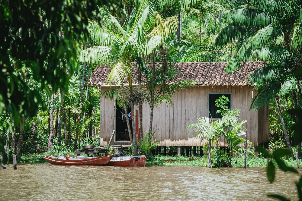 10 Ideas for Making the Most of Your Kerala House Homestay in Wayanad