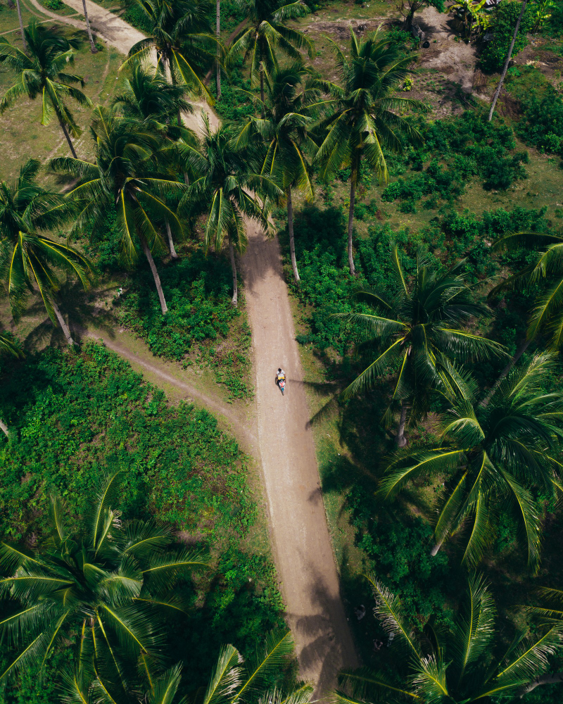 Finding Your Home Away from Home: Essential Amenities and Best Homestays in Kerala