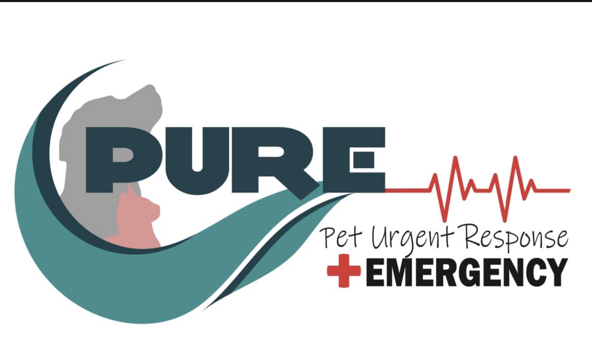 The Importance of Having an Emergency Vet for Your Pet