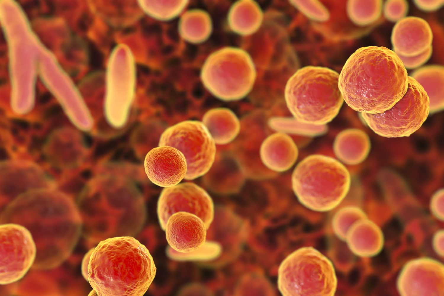 Global Mycoplasma Testing Market Is Driven By Growing Adoption Of Personalized Medicine