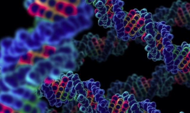 Oligonucleotide Synthesis Market Growth Accelerated by Rising R&D Investments