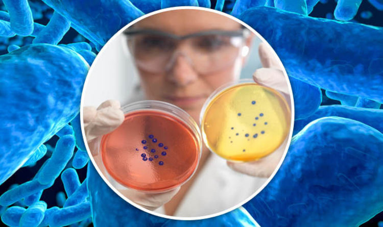 Bacterial sialadenitis Market Witness High Growth Due to Rising Incidences of Infectious Diseases