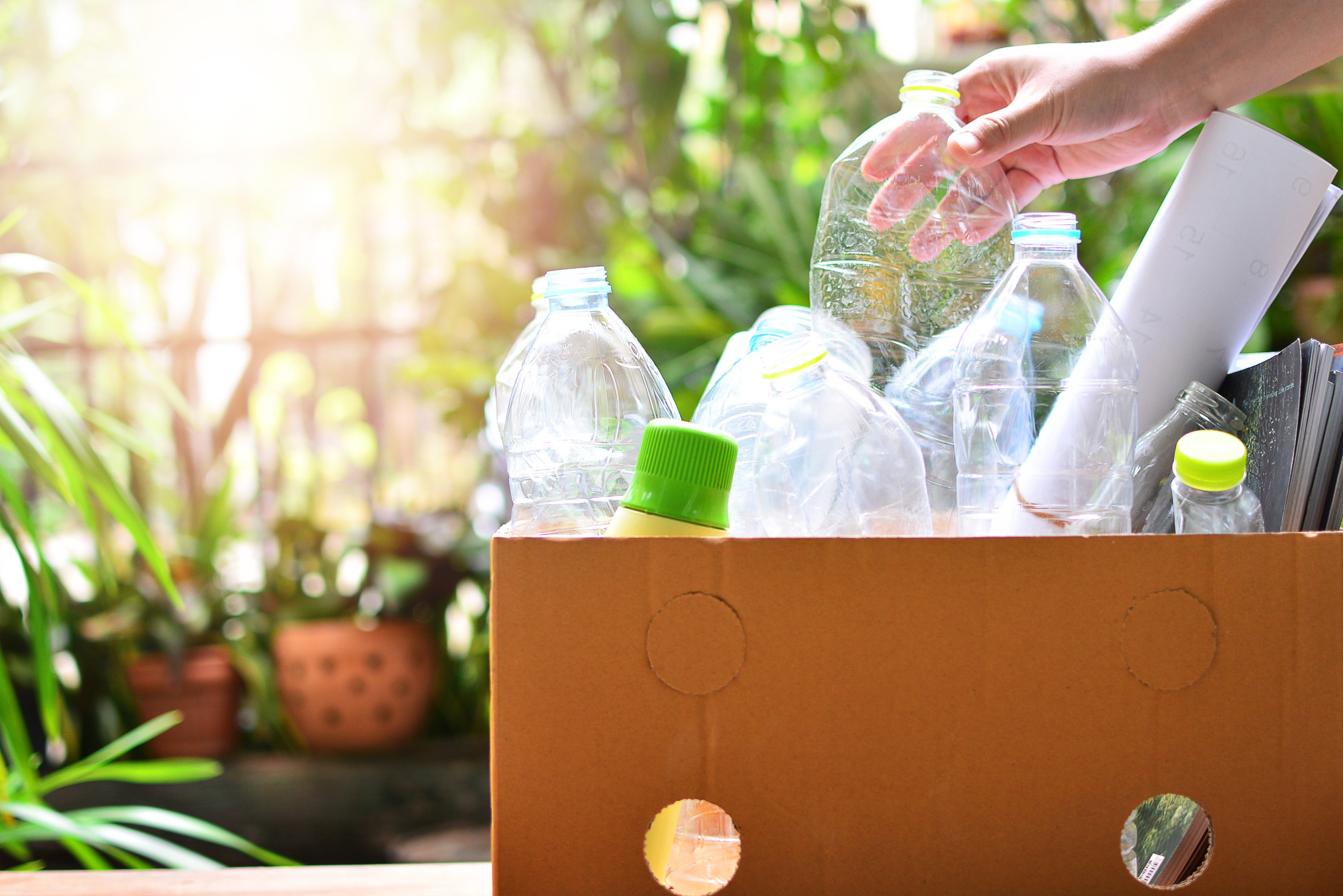 The Growing Demand For Environment-Friendly Packaging Propels The Bio Plasticizers Market Growth