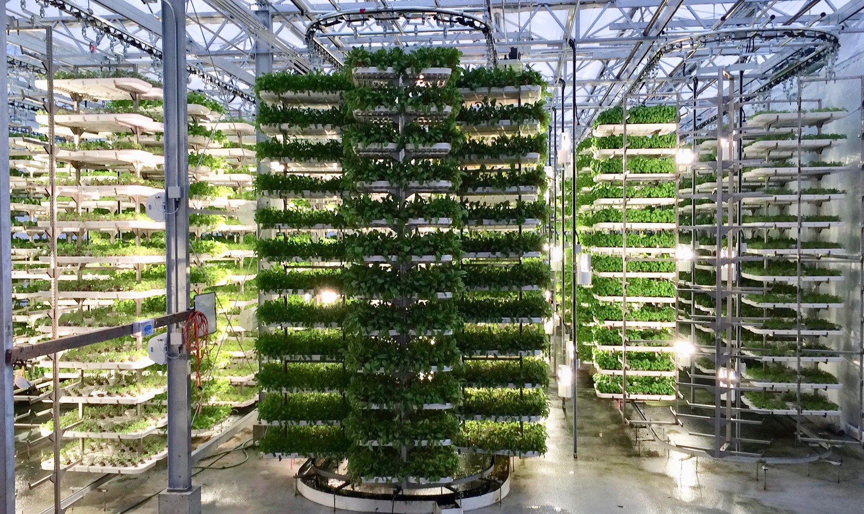 Vertical farming Market Growth Accelerated by Adoption of Hydroponics Cultivation Methods