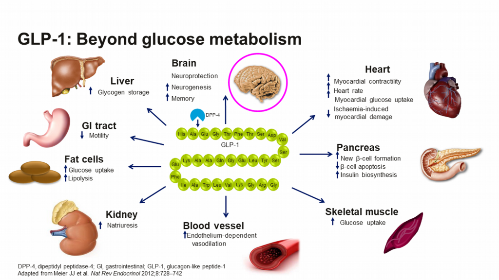 The GLP-1 Receptor Agonist Market is Anticipated to Witness High Growth Owing to Increasing Prevalence of Diabetes 
