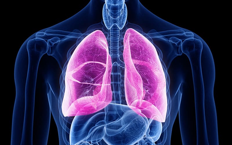 Interstitial Lung Disease Market is Estimated to Witness High Growth Owing to Increasing Incidence of Lung Diseases 