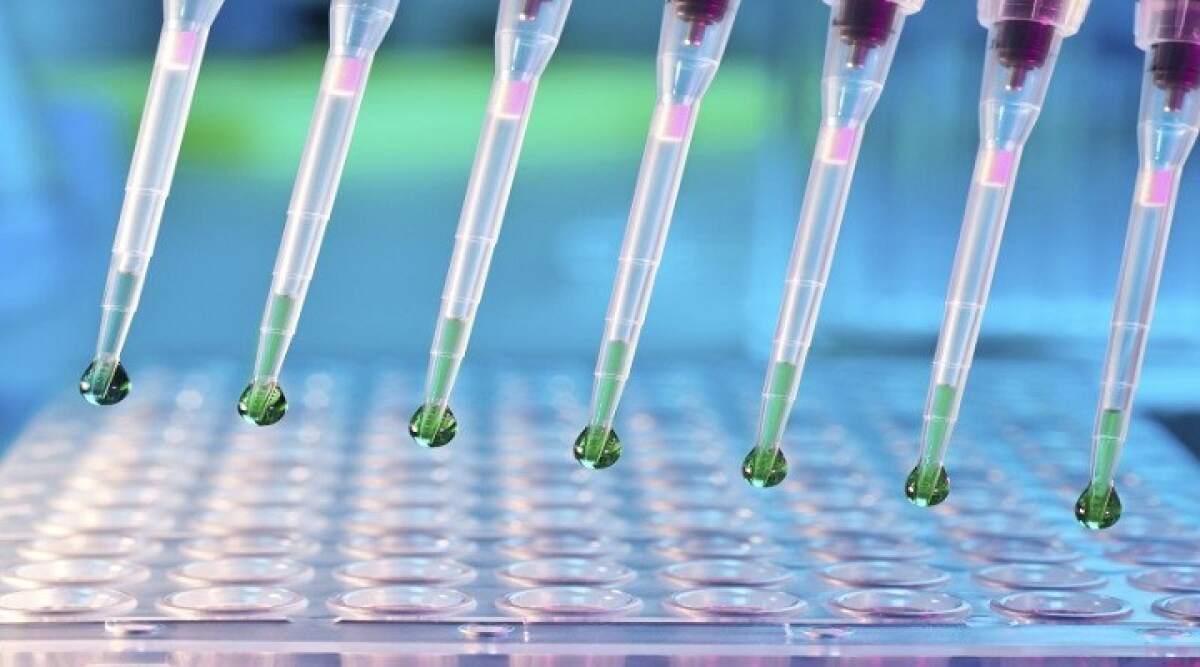 Exploring the Global In Vitro Lung Model Market: Trends, Analysis, and Geographical Insights