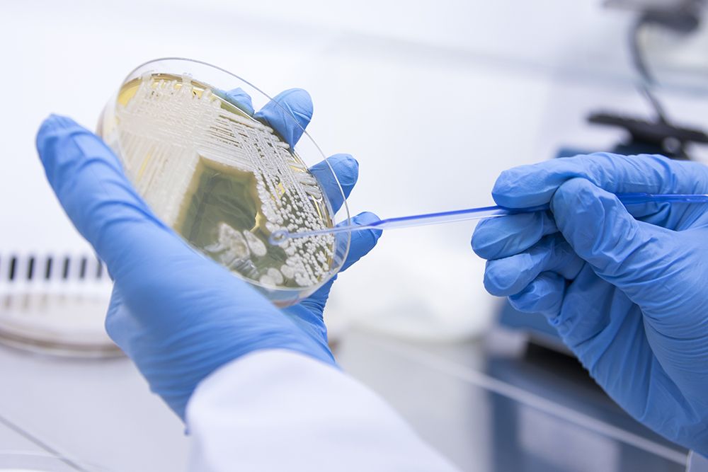 Bioburden Testing Market: Unveiling Growth Dynamics