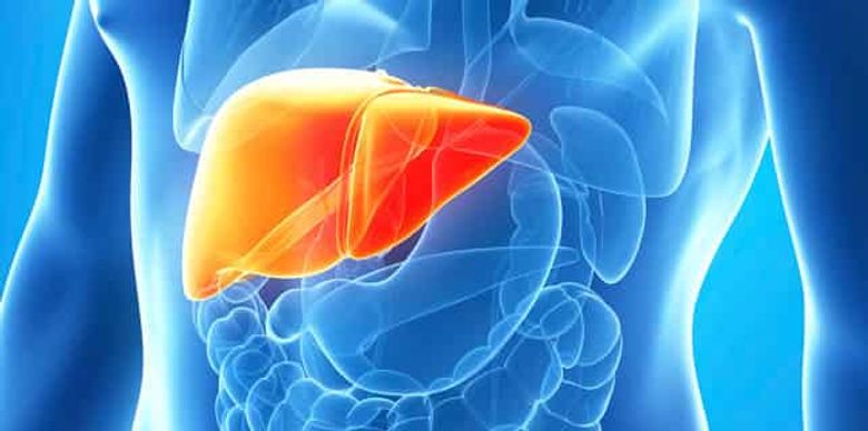 How Does Patanjali Medicine Help in Controlling Liver Problems