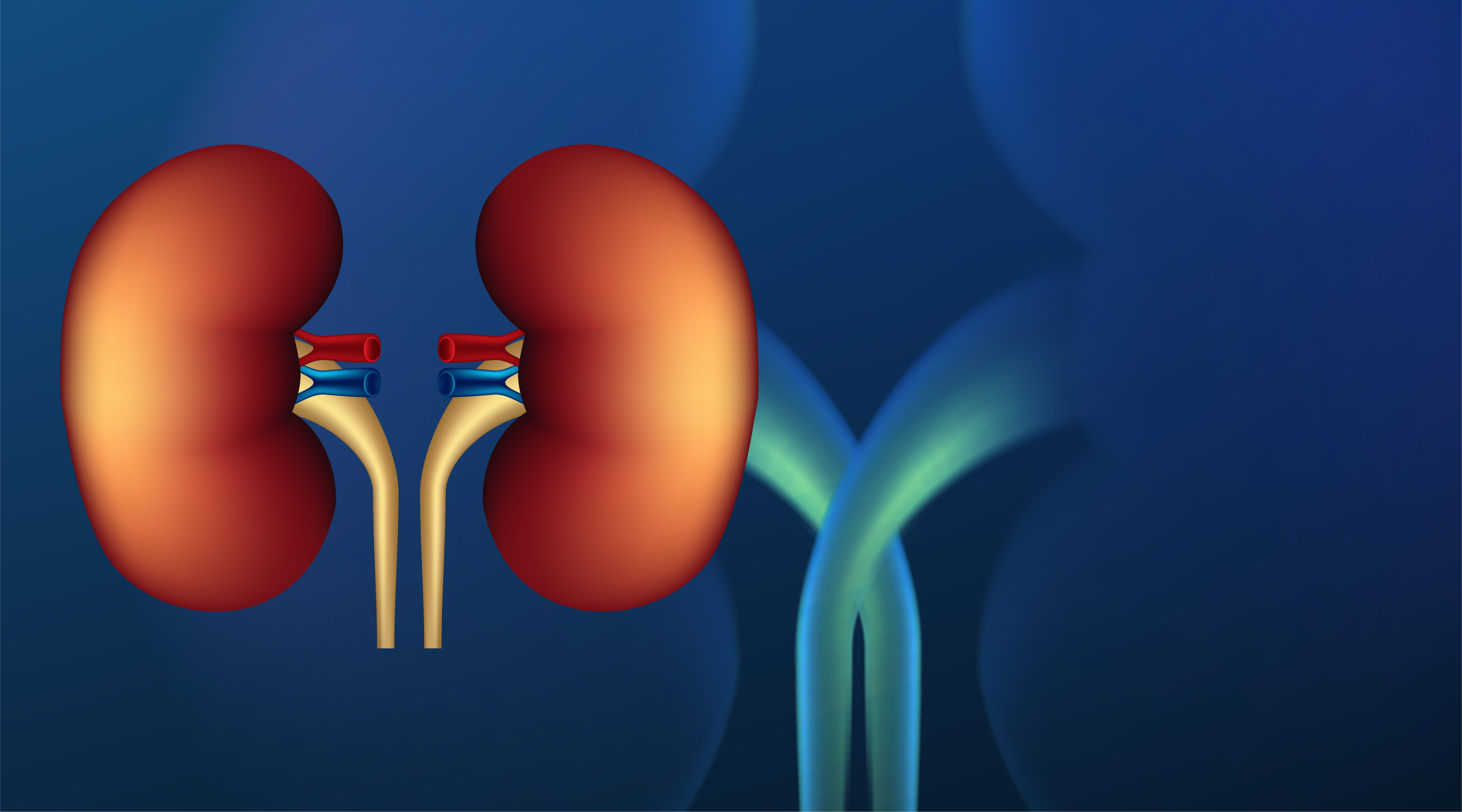 7 Natural Ways to Keep Your Kidneys Healthy