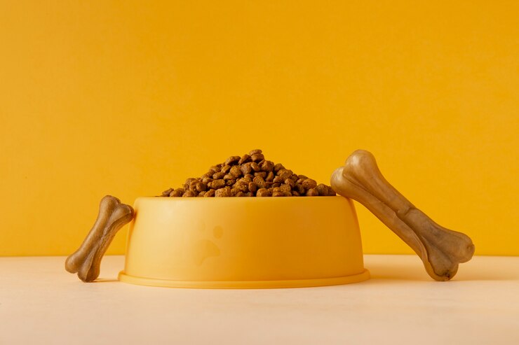 Buy Dog Dry Food To Improve your Dog’s Health 
