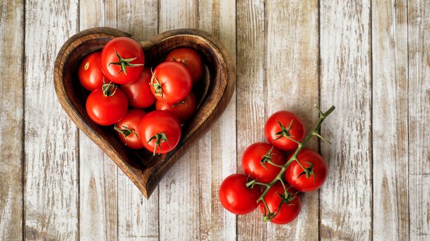 Grow Your Fresh Tomatoes With Best Guidance