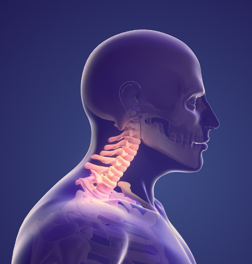 The Importance Of Cervical Spine Health In The Present Era