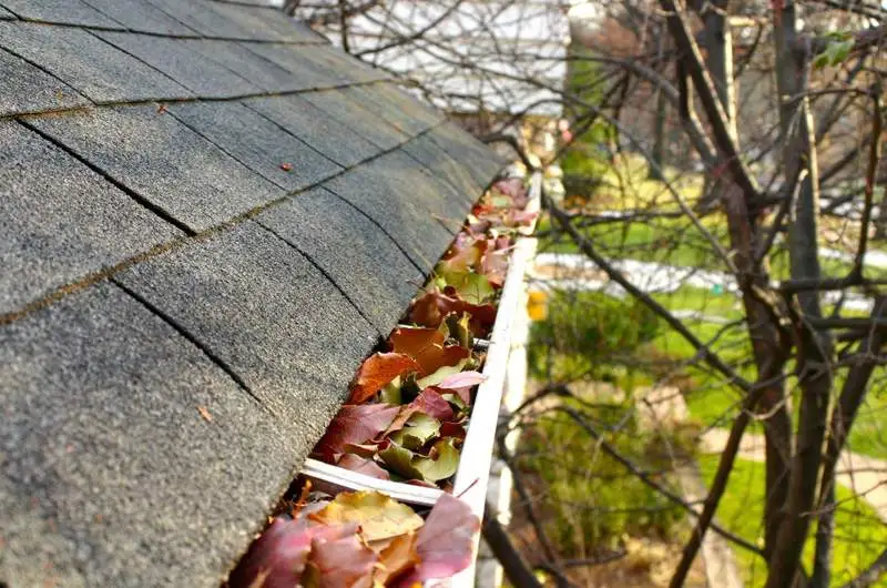 Common Gutter Problems in St Kilda West and How Regular Cleaning Can Help Prevent Them