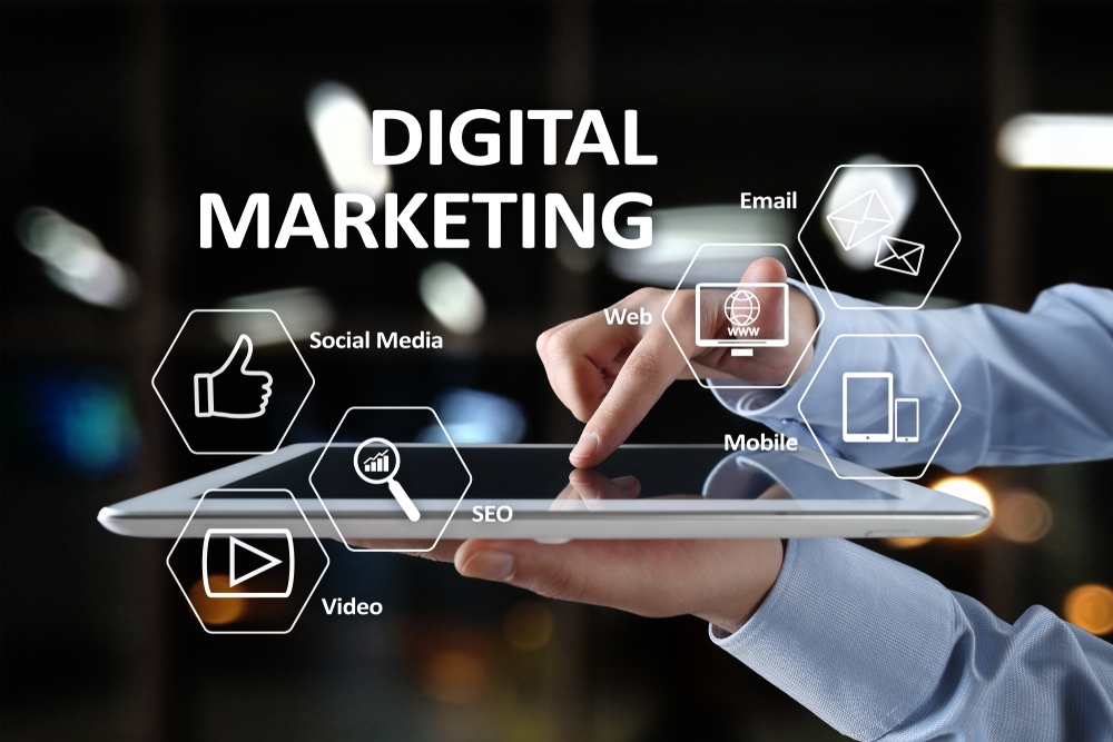 How to grow the website audience with the best SEO services?
