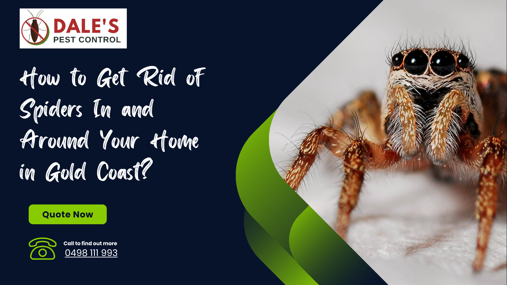 How to Get Rid of Spiders In and Around Your Home in Gold Coast?