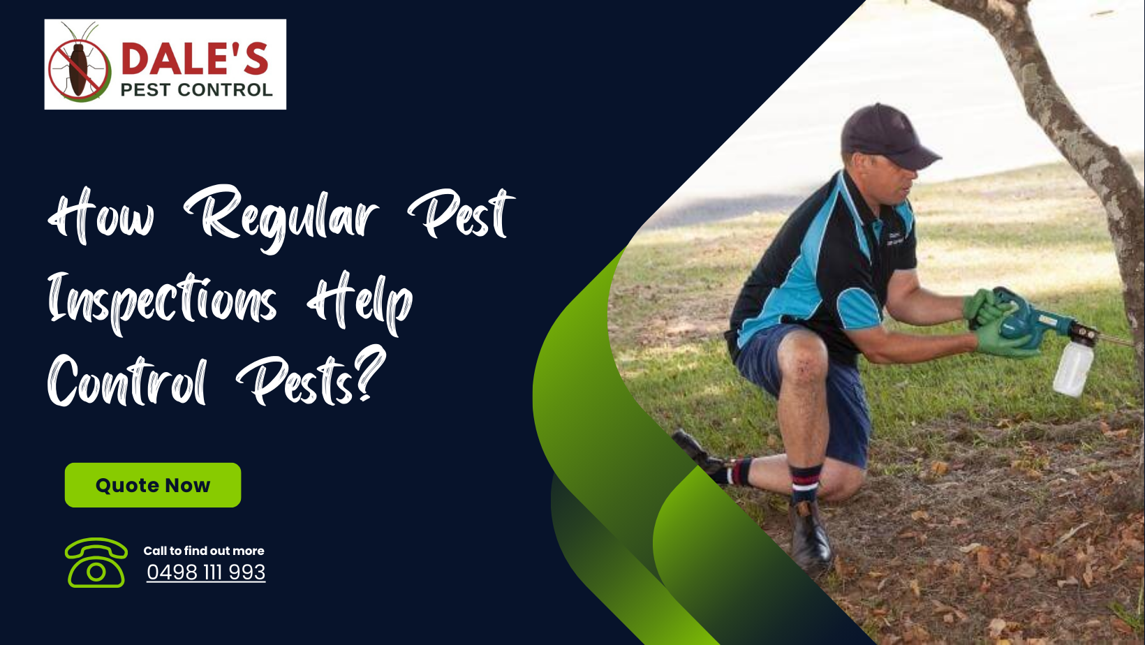 How Regular Pest Inspections Help Control Pests?