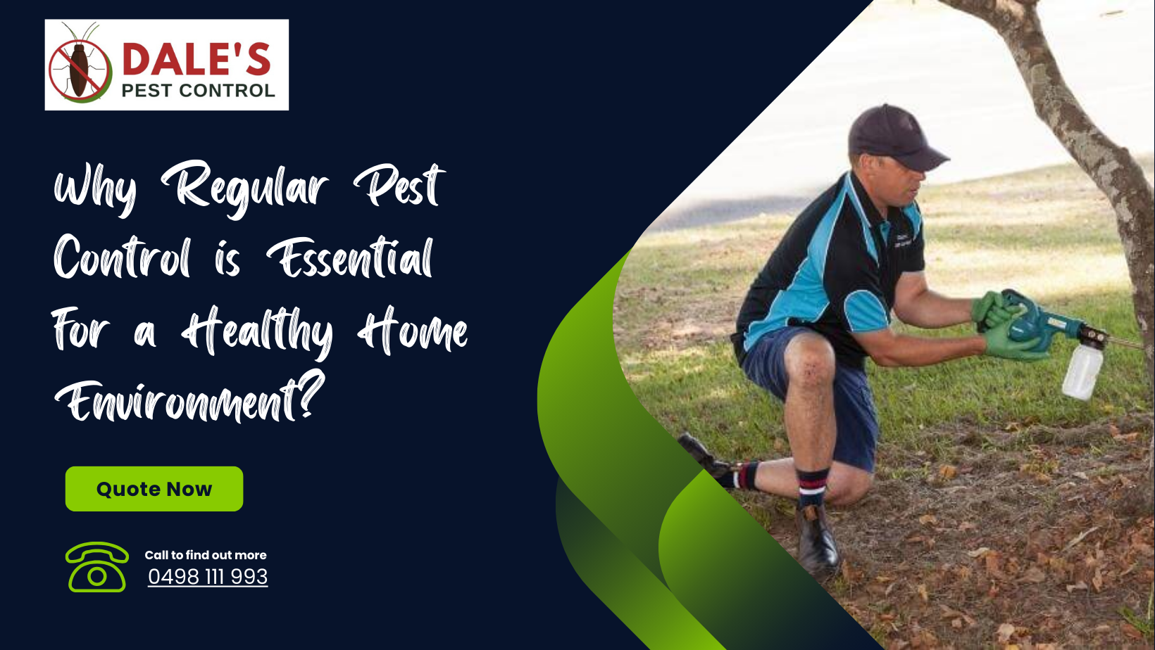 Why Regular Pest Control is Essential for a Healthy Home Environment?