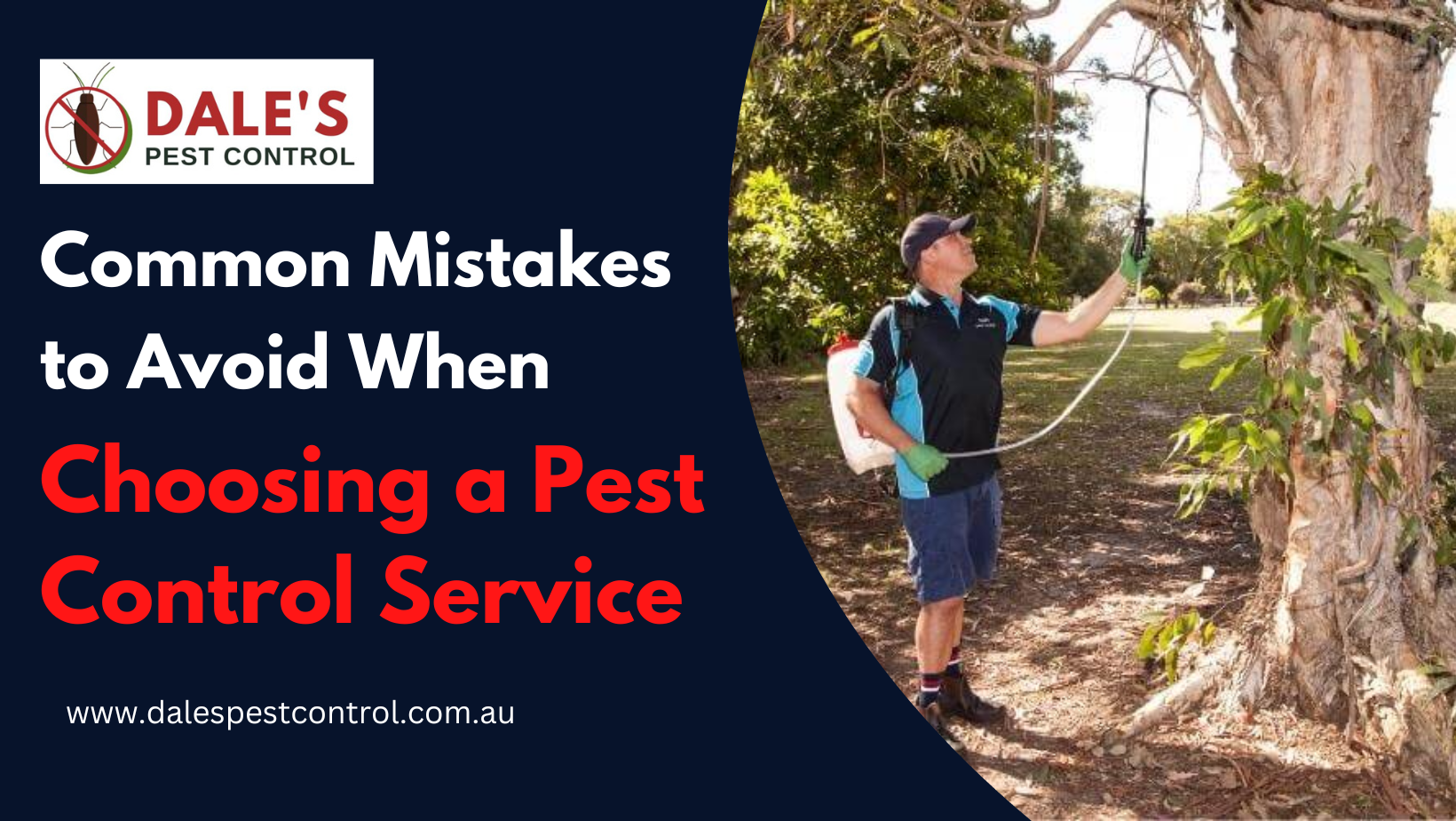 Common Mistakes to Avoid When Choosing a Pest Control Service