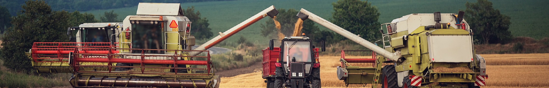 Enhancing Efficiency and Excellence in Agricultural Workforce Management
