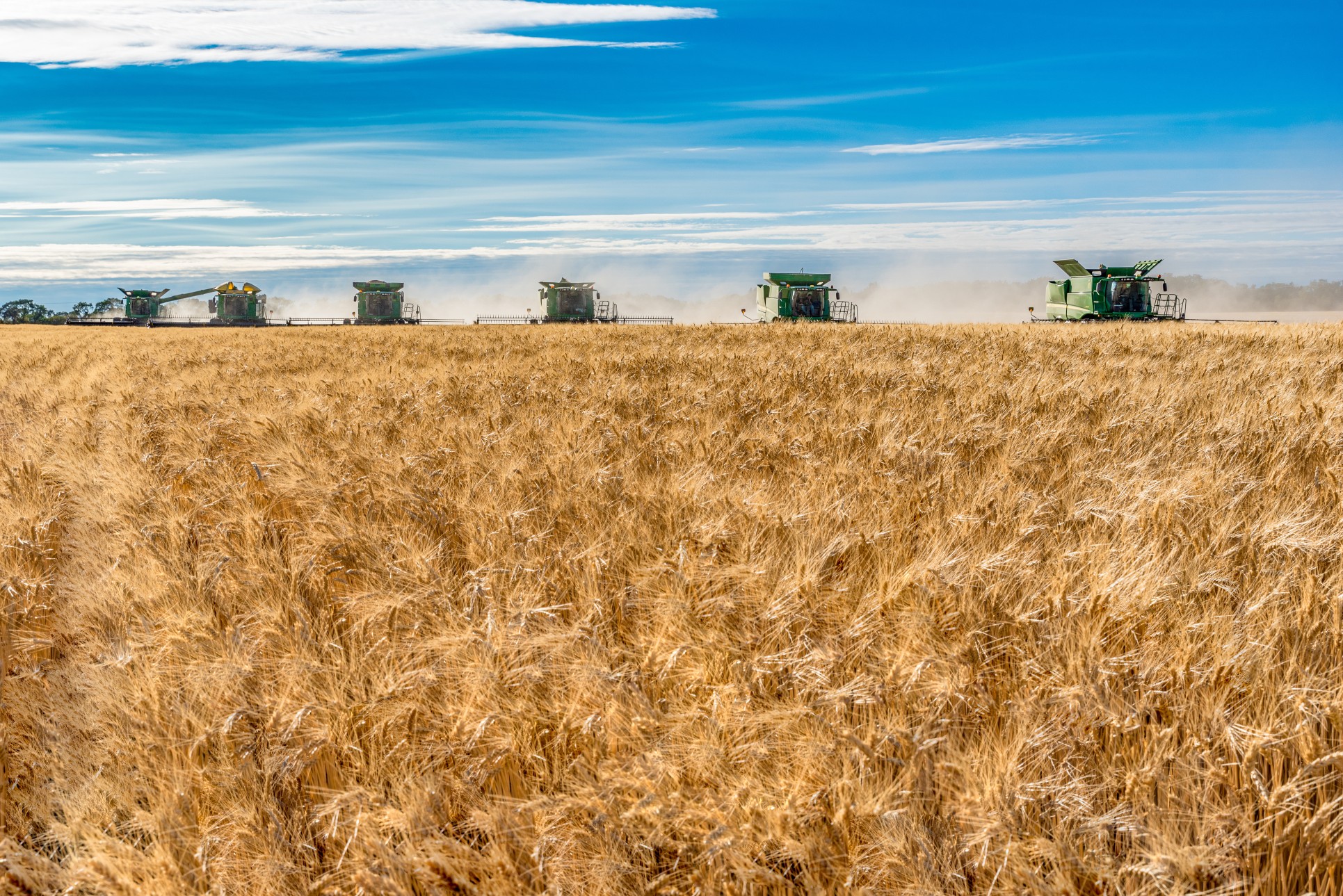 Cultivating Opportunities for Visa Services in Australia: A Guide to Australia's Farm Work Programme