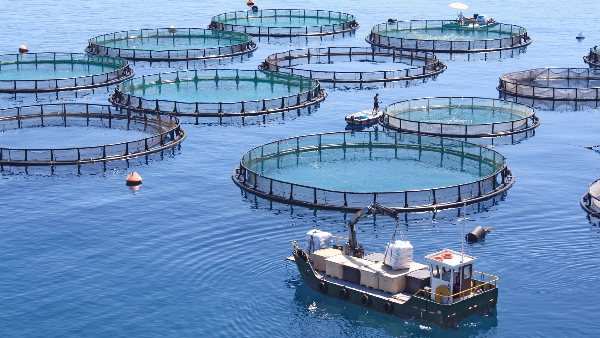 The Global Aquaculture Water Treatment Systems Market Growth Accelerated By Rising Demand For Nutritious Fish