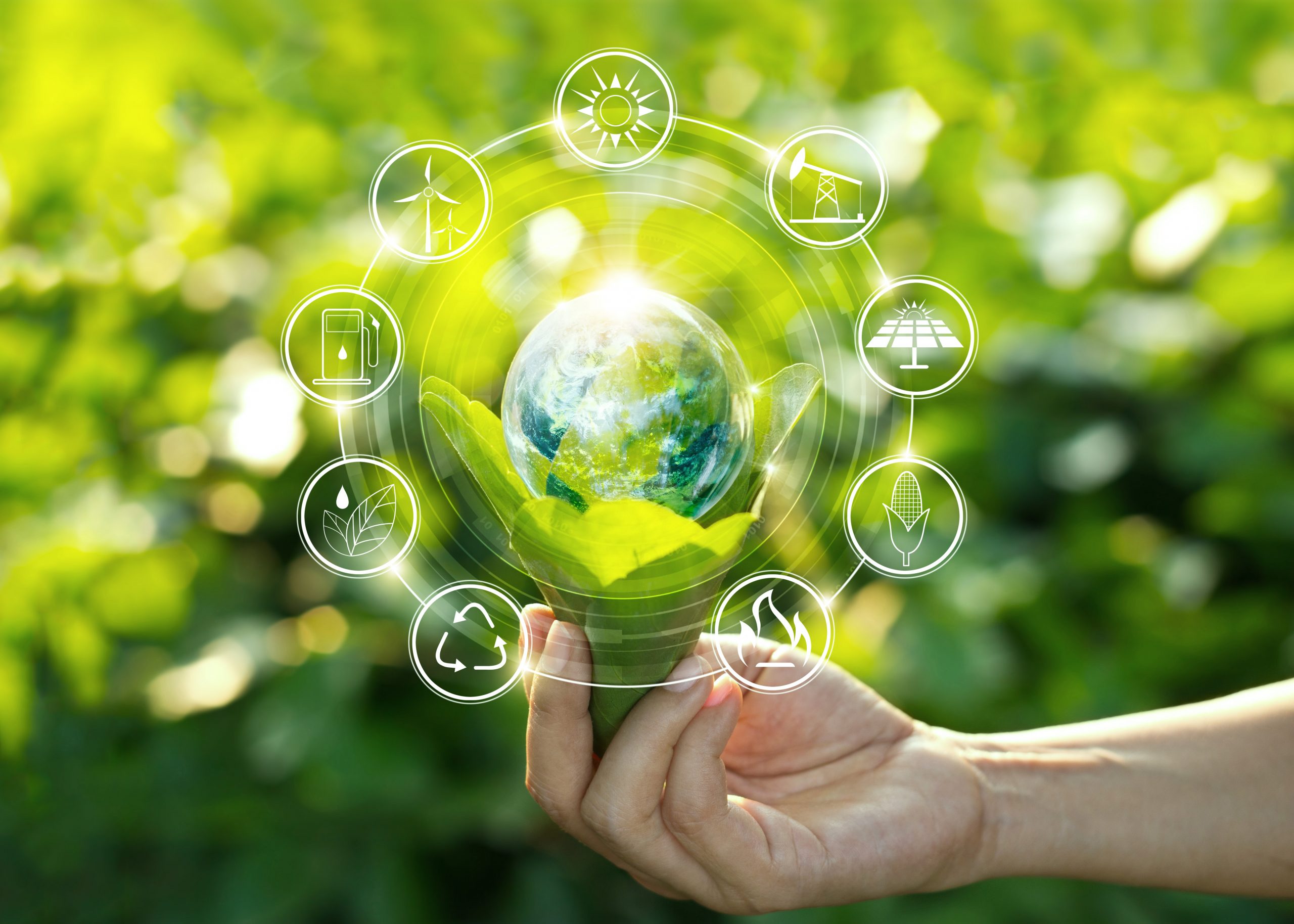 The Global Climate Resilient And Sustainable Health Systems Market Growth Accelerated By Investments In Green Healthcare Infrastructure