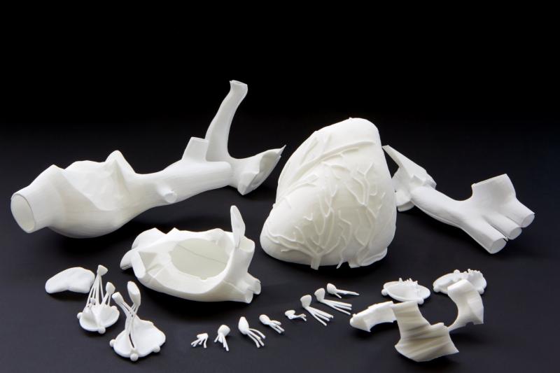 Bioceramics Market Growth Accelerated By Increased Preference For Biodegradable Implants