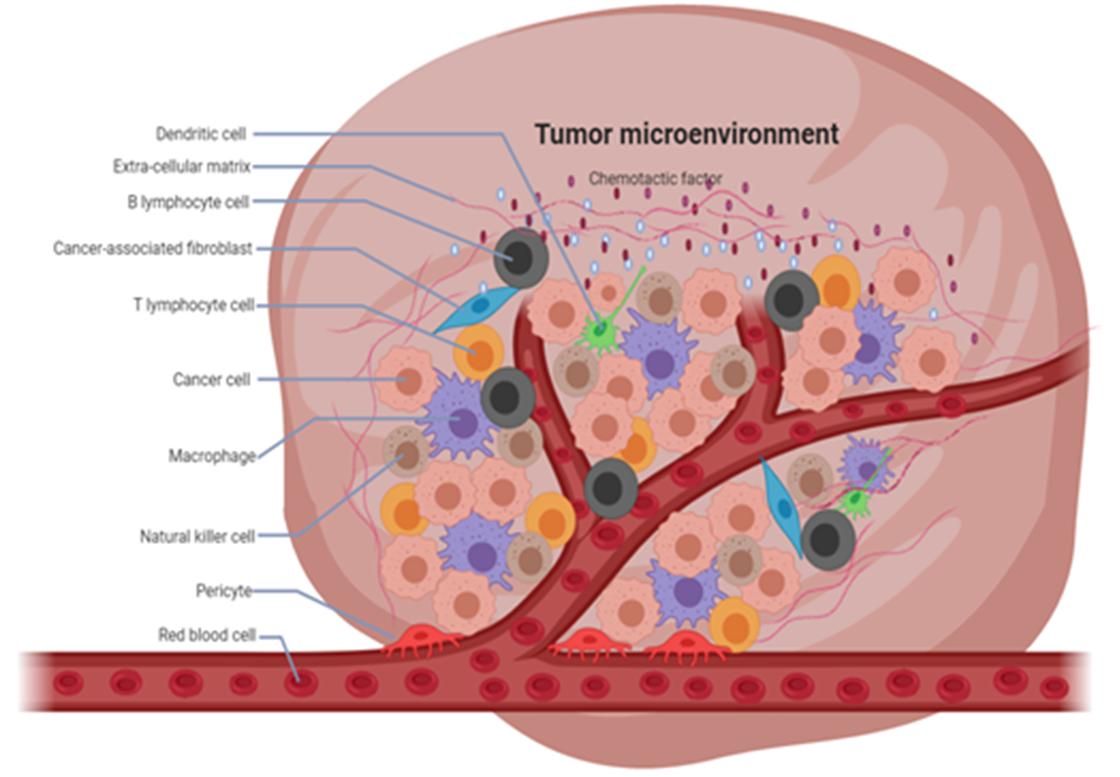  Tumor Microenvironment Modulating Therapeutics Is Estimated To Witness High Growth Owing To Opportunity To Improve Cancer Treatment Outcomes