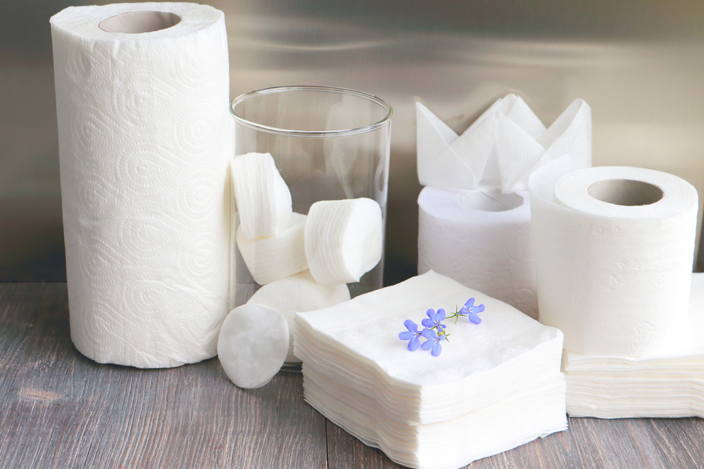 The Global Europe Tissue And Hygiene Paper Market Growth Accelerated By High Demand For Sustainable Hygiene Products 
